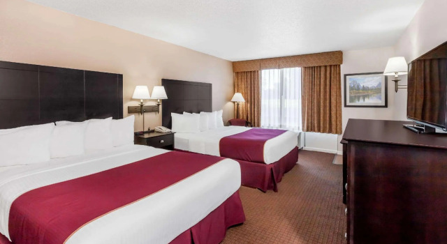 Четырёхместный номер Standard Quality Inn & Suites