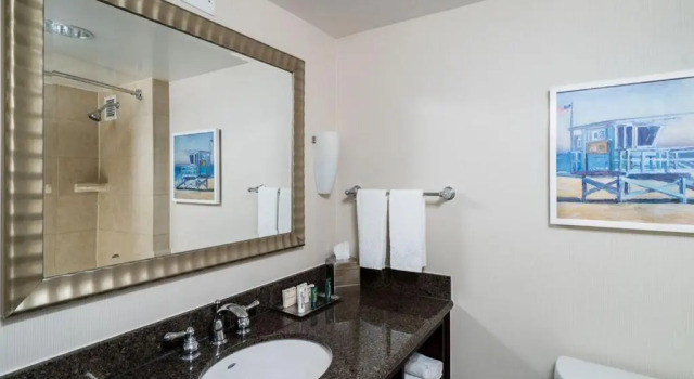 Двухместный номер Hilton Irvine/Orange County Airport