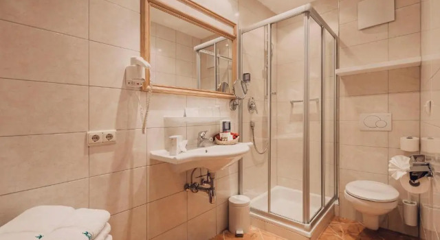 Номер Economy Sporthotel Auhof
