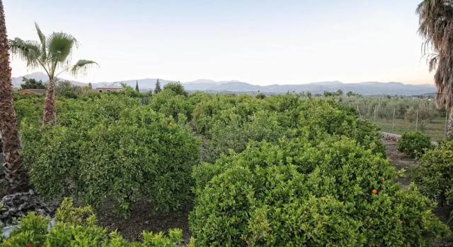Casa Rural Típica Andaluza