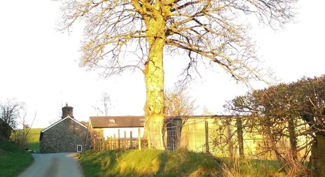 Pant Glas Barn, Забронировать Дом для отпуска Виллы Сноудония, Вилла