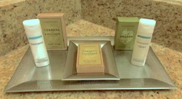 Номер Standard DoubleTree by Hilton Lisle Naperville