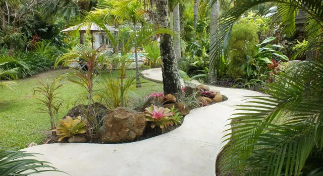 Deluxe Apartment Rarotonga Daydreamer Escape