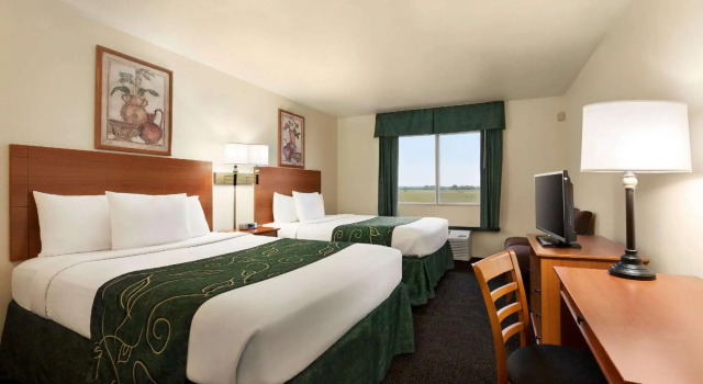 Четырёхместный номер Standard Baymont by Wyndham Fremont