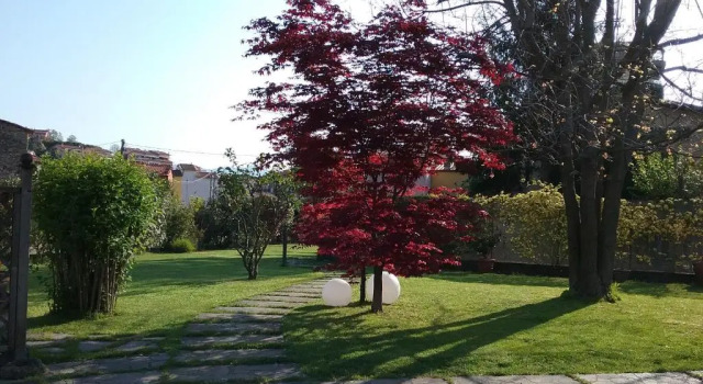 Amaryllis Case Vacanza, Prenota Hotel Arcola Riviera Ligure