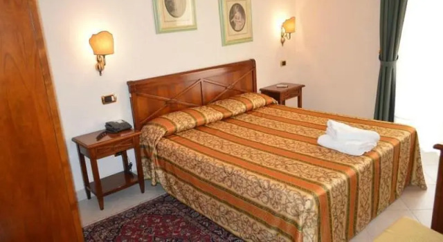 Одноместный номер Standard Hotel Delle Palme