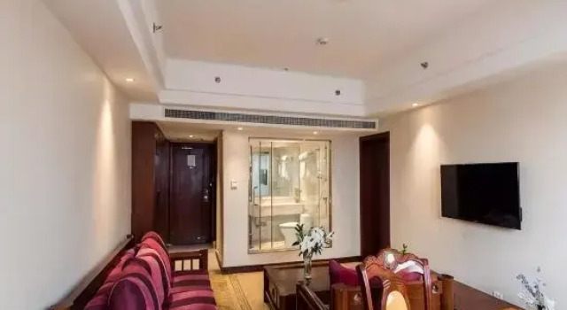 Люкс Business Vienna International Hotel Xian Dayan Tower