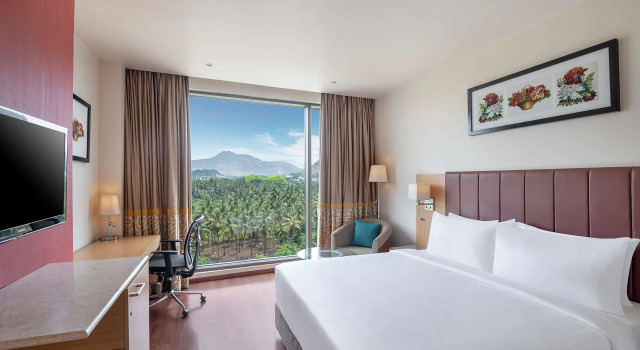 Номер Superior Radisson Salem