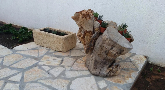 Xenios Torre Suda B&B, Prenota Bed & breakfast Hotel a Racale con colazione, Colazione