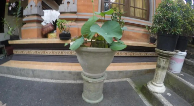 Pancer House, Забронировать Отель Отели провинции Бали с завтраком, Завтраки