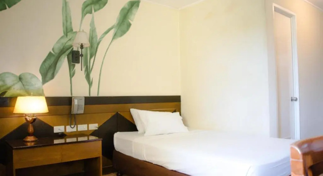 Одноместный номер Standard Country Village Hotel