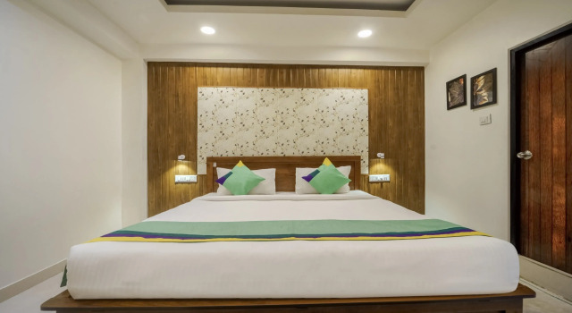 Номер Deluxe Treebo Park Palace