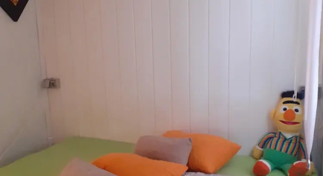 Cozy Small House on the Beach for pet Lovers