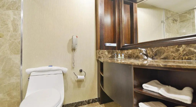 Четырёхместный номер Standard Woodbine Hotel & Suites