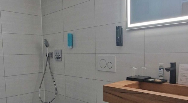 Двухместный номер Standard Hotel Rhin Inn
