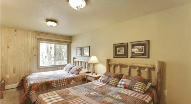 SkiWatch 103 - 2 Br Condo