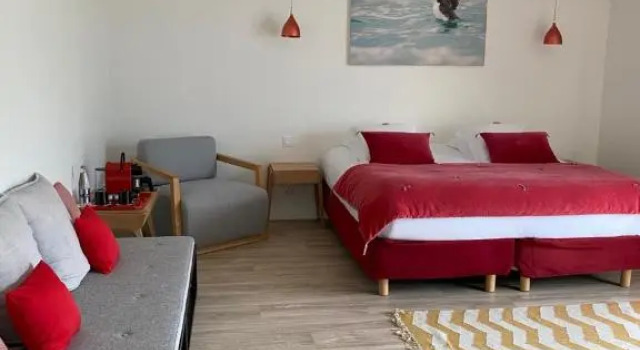 Номер Deluxe Villa Les Hydrangéas