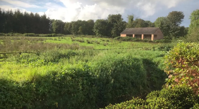 The Stables B&B, Book Bed and Breakfast Antrim Lough Neagh