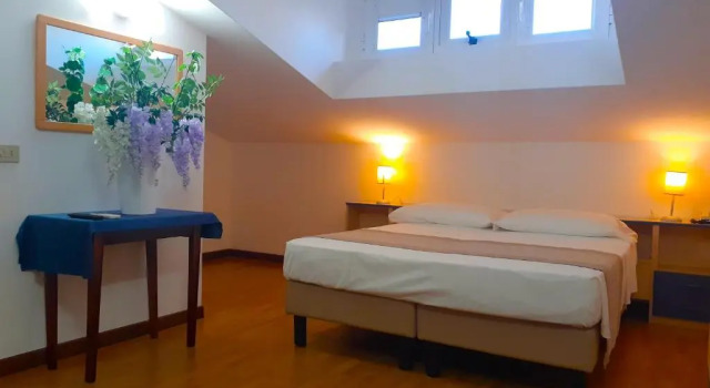 Двухместный номер Standard Мансарда Hotel Danubio