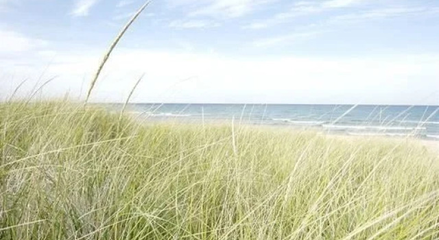 Turquoise Door Holiday home, Забронировать Отель Мичиган-Сити Indiana Dunes National Lakeshore