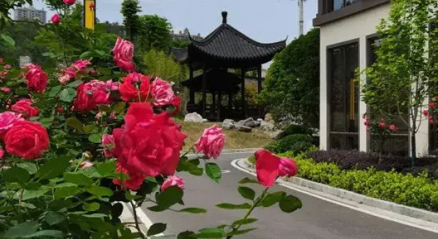 Wellton International Hotel (Shangyou), Rezerwuj Hotel Dongshan Jiangxi