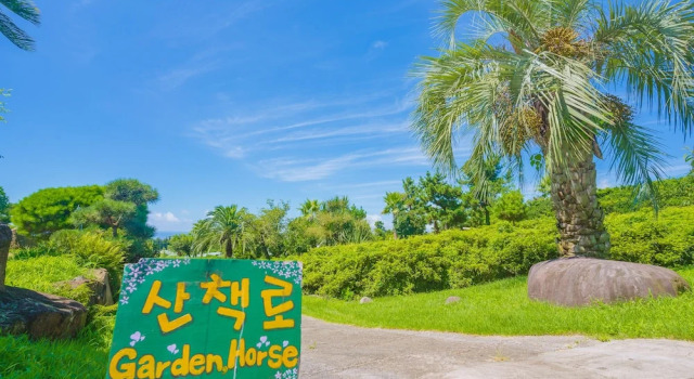 Вилла Standard Jungmun Log Pension & Resort