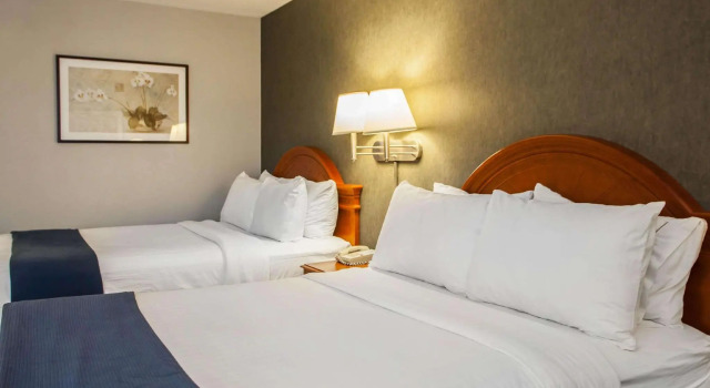 Четырёхместный номер Standard Quality Inn & Suites St Charles -West Chicago