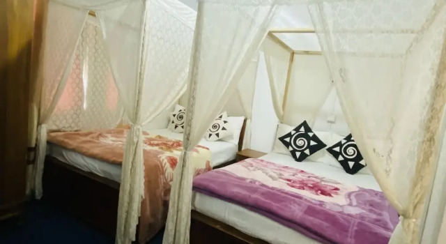 Номер Standard Zion White House