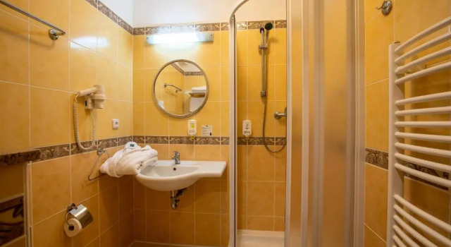 Номер Standard Darovanský Dvůr - Wellness & Golf Hotel