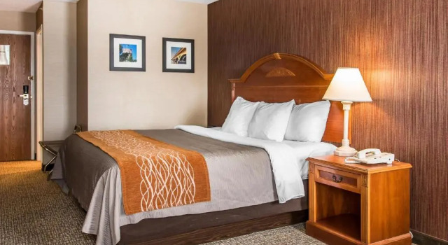 Номер Standard Hampton Inn Chelsea, Mi