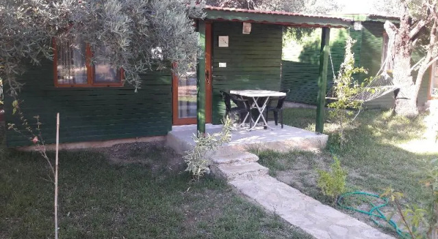 Номер Standard My Bungalov