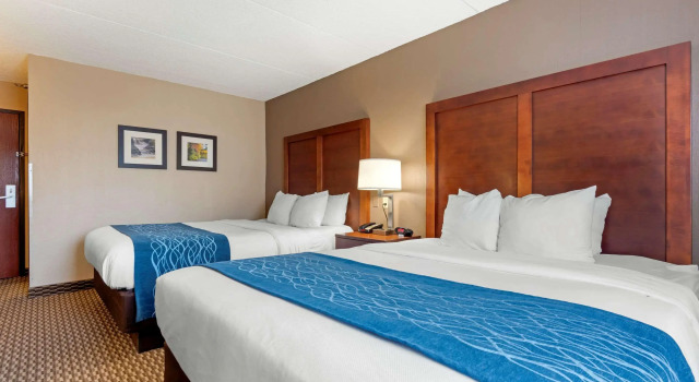 Comfort Inn University, 预订 酒店 阿默斯特 布法罗