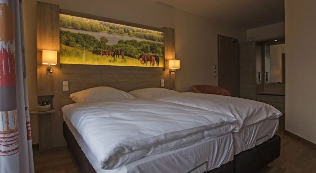 Двухместный номер Standard Hotel Wittensee Schützenhof