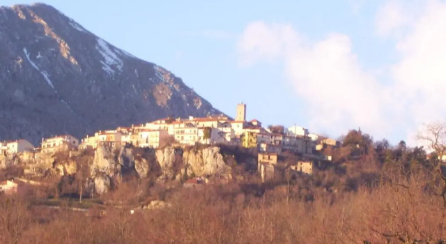 Hytte Little Tower