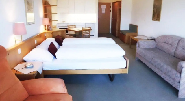 Двухместный номер Standard Hotel Aeschi Park