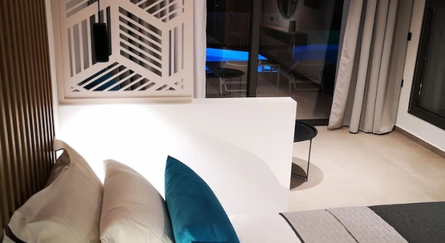 Люкс с видом на бассейн Zoes Hotel & Suites