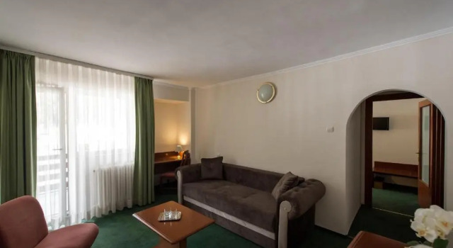 Номер Standard Hotel Silva Busteni