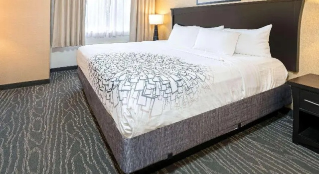 Люкс Deluxe Crystal Inn Hotel & Suites - Logan