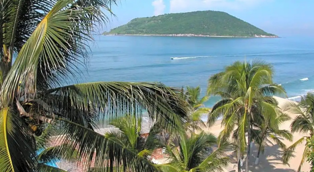 Четырёхместный номер Standard с видом на город The Palms Resort of Mazatlan