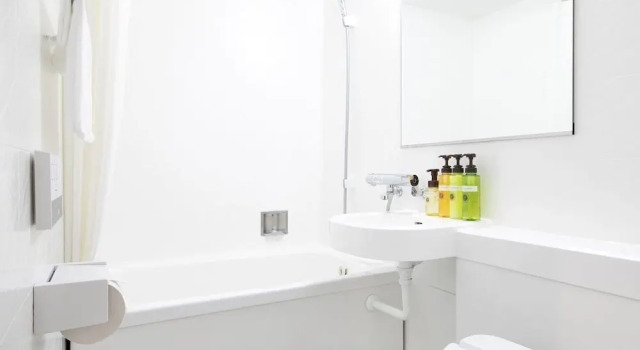 Номер Superior HOTEL MYSTAYS Kumamoto Riverside