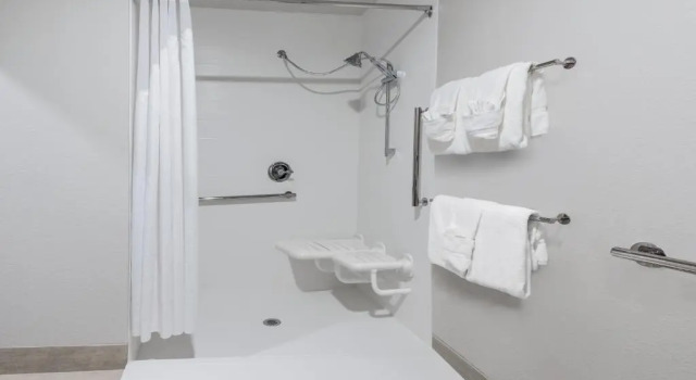 Номер Standard Holiday Inn Express & Suites Bryan - College Station by IHG
