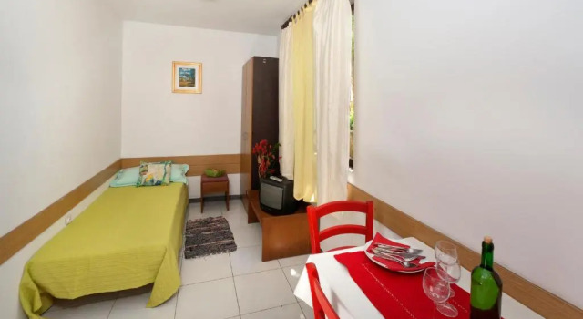 Апартаменты c 1 комнатой Apartments Mladenka