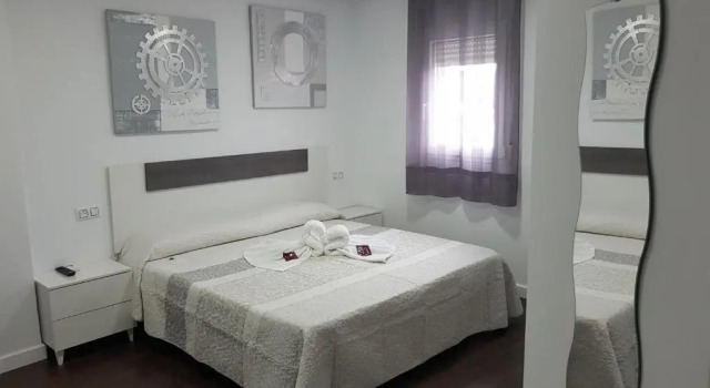Номер Superior Hostal Goyesco Plaza