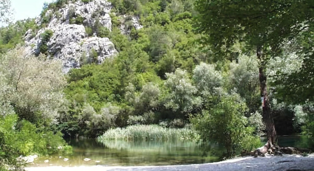 Radmanove Mlinice
