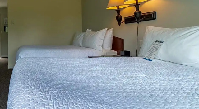 Номер Standard Tofino Motel Harbourview