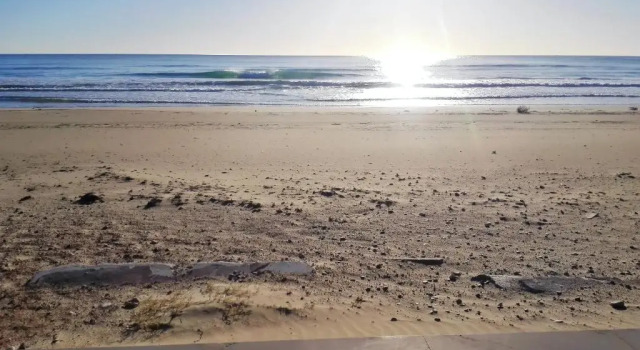 Holiday Home Avenida del Mar 65, Reserva ahora Hotel Oropesa del Mar Costa del Azahar