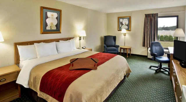 Номер Standard Comfort Inn Chester - Richmond South