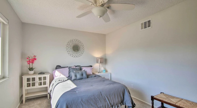 Palm Desert Resort-style Living: Dog Friendly