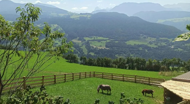 Huberhof, Забронировать Отель Вилландро Valle Isarco