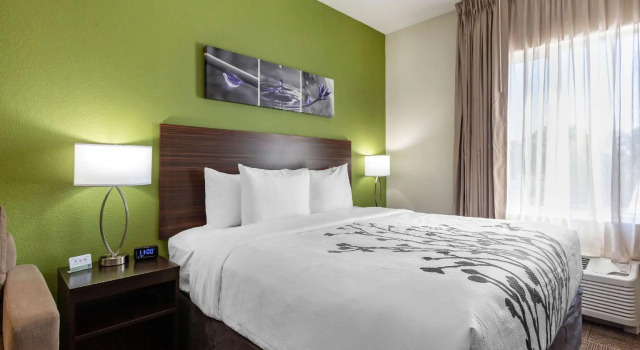 Двухместный люкс Sleep Inn & Suites Tampa South
